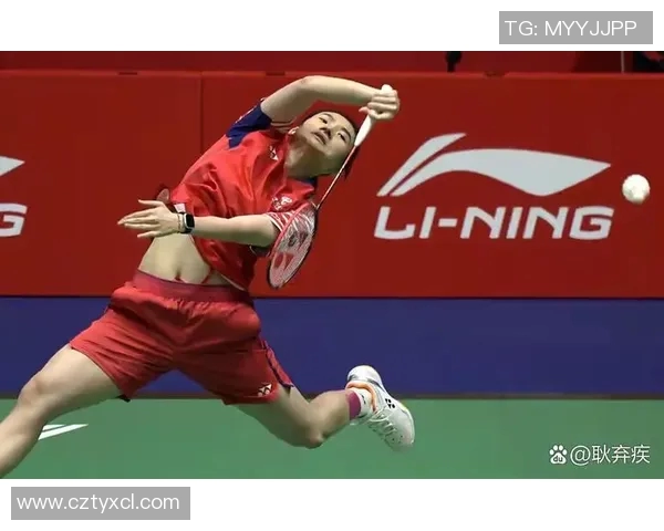 羽毛球赛事精彩回放及技术点评