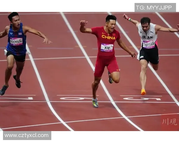 中国队包揽世界射击锦标赛男女项目金牌 创历史辉煌成就