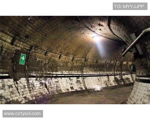 探索未知的世界:揭开十大令人惊讶的冷知识谜团